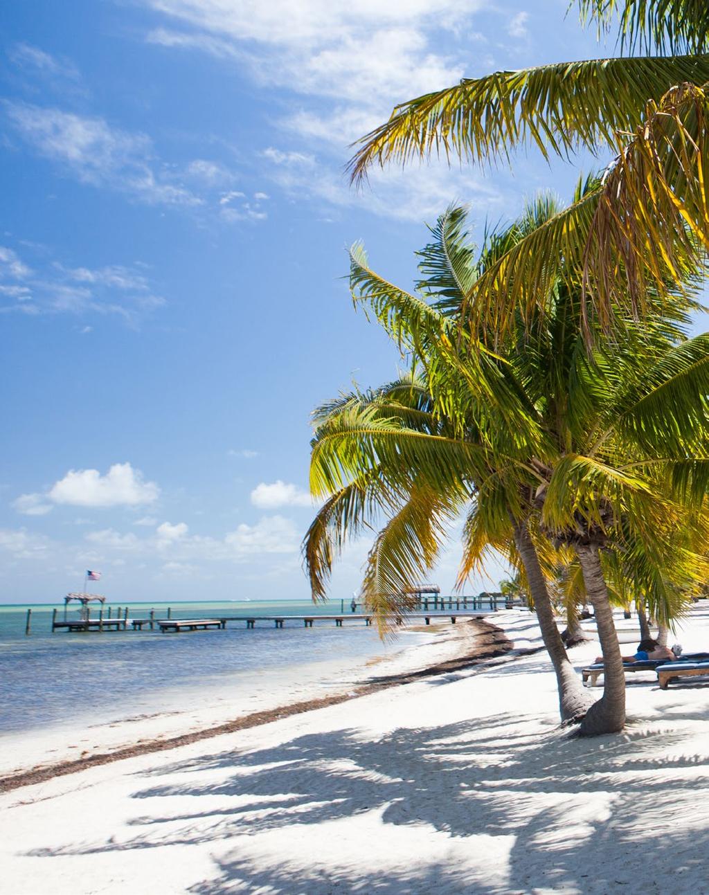 FLORIDA. 235 tips till solskensstaten nya måsten i Florida FLORIDA. 235 tips till solskensstaten nya måsten i Florida