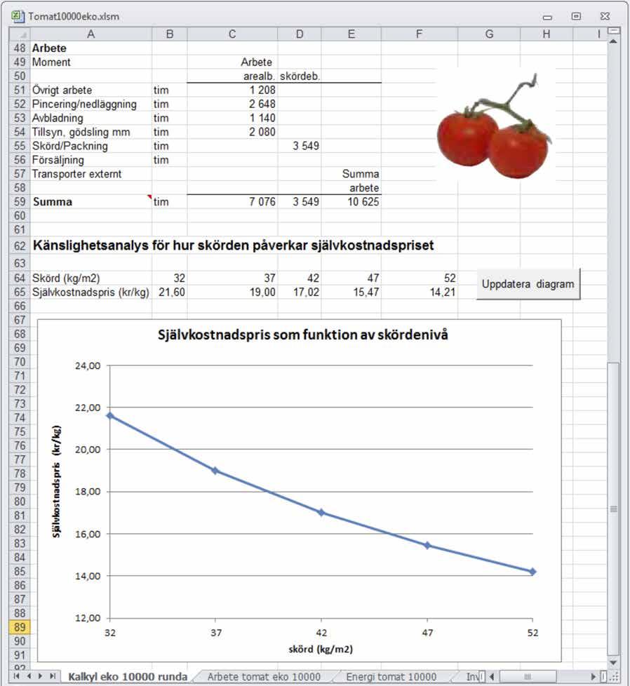 ändras för att anpassa kalkylen till egna förhållanden. Rad 18 är tom, men kan användas för någon kostnad som inte finns med i övriga rader.