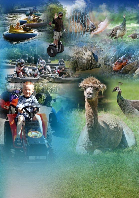 Här kan alla fartglada roa sig med bl.a. Go-cartbanor, Crazy Bikes, Bumperbåtar osv.