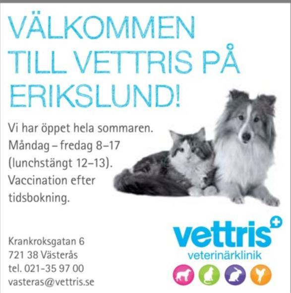Södra Dingtunas Fiberförening. Lars Kallsäby, Lars Bruksgård, Ove Tunhielm, Sara Norström, Christer Berlin och Carl Johansson valdes till styrelse för Södra Dingtunas Fiberförening år 2013 i Utvreta.