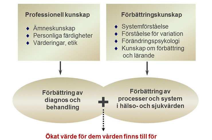 Förbättringskunskap