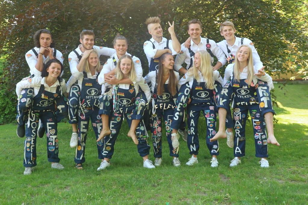 Vi är ett gäng glada studenter som gillar att gyckla och uppträda och som festeri arrangerar vi bland annat sittningar, aktivitetsdagar och Sjukhusfesten.