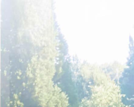 speciell sinnlighet.