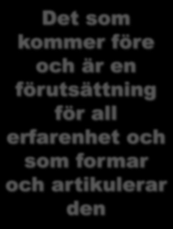 Förståndskategorier