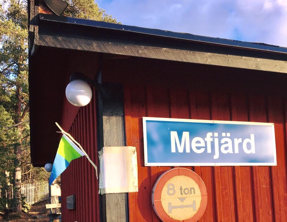 Mefjärd älskar Östersjön Den lilla vimpeln på väntkurens gavel är WWFs Östersjövimpel, en påminnelse om insamlingen Sedan årsmötet i slutet av mars är vi igång med vår alldeles egen insamling till