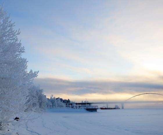 Februarirundan Detaljer: Luleå 22 februari 09.30 ÄMS + SBF: Förarregistrering Genomgång av reglemente Välkommen och uppstart av appar 10.