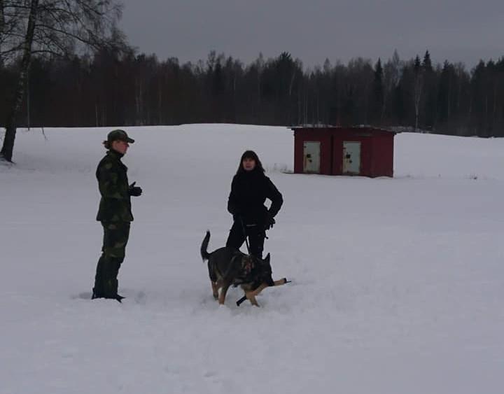 Först ut så kontrollerades tillgängligheten och samarbetet/skott för ett ekipage i taget. Här började instruktörerna se vilka olika typer av ekipage dom kommer få jobba med.