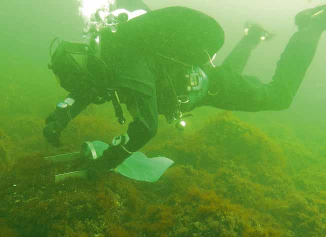 Foto: Sveriges Vattenekologer Y Ekosystemet undersöks varje år i både Björnöfjärden och i jämförelseviken Fjällsviksviken.
