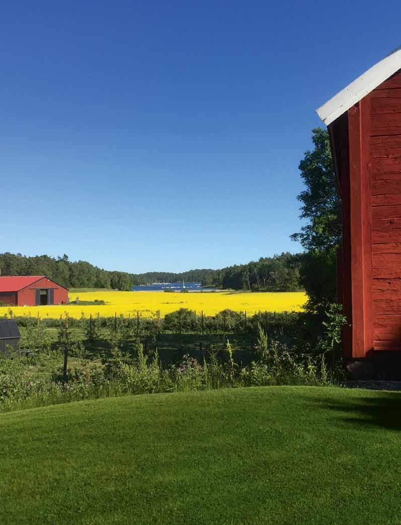 Åtgärder som minskar näringsläckage från jordbruk Jordbruk är idag den enskilt största näringskällan från land till Östersjön och står för ungefär hälften av den totala näringstillförseln 2.