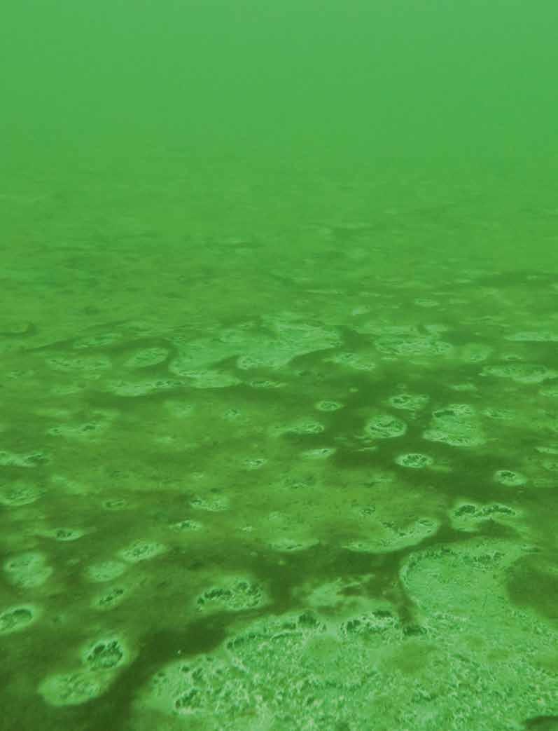 Överskott av fosfor binds fast i sedimenten Även om alla näringsutsläpp från Östersjöns avrinningsområde stoppas omedelbart, skulle det troligen ändå ta många decennier innan övergödningen upphör,