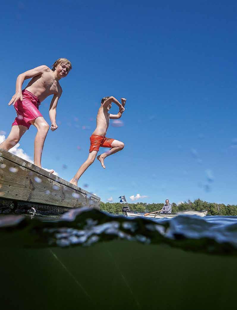 Björnöfjärden har återfått bra vattenkvalitet Foto: JOakim Odelberg Den minskade näringstillförseln till Björnöfjärdens vatten har lett till att