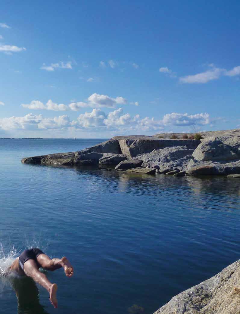 Åtgärdsarbete är svårt För effektivt åtgärdsarbete behövs tydliga mål, kompetens, finansiering och tålamod.