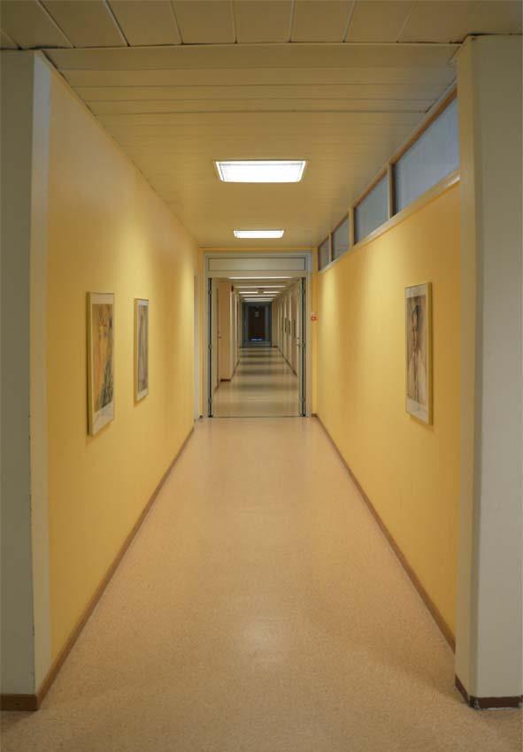 Utanför skolans aula finns en vägg klädd i träpanel med ett lågt, blått tak, där en del av ytans golv är rött, se figur 4 nedan.