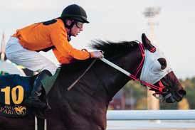 TIPS & RANK V4 & V5 BANKOD 48 TIPS AV ULF ZEIDER Lopp 1 Lopp 2 - V4-1 Lopp 3 - V4-2 Lopp 4 - V4-3, LD-1, V5-1 Lopp 5 - V4-4, LD-2, V5-2 Lopp 6 - V5-3, V3-1 Lopp 7 - V5-4, V3-2 Lopp 8 - V5-5, V3-3 OBS!