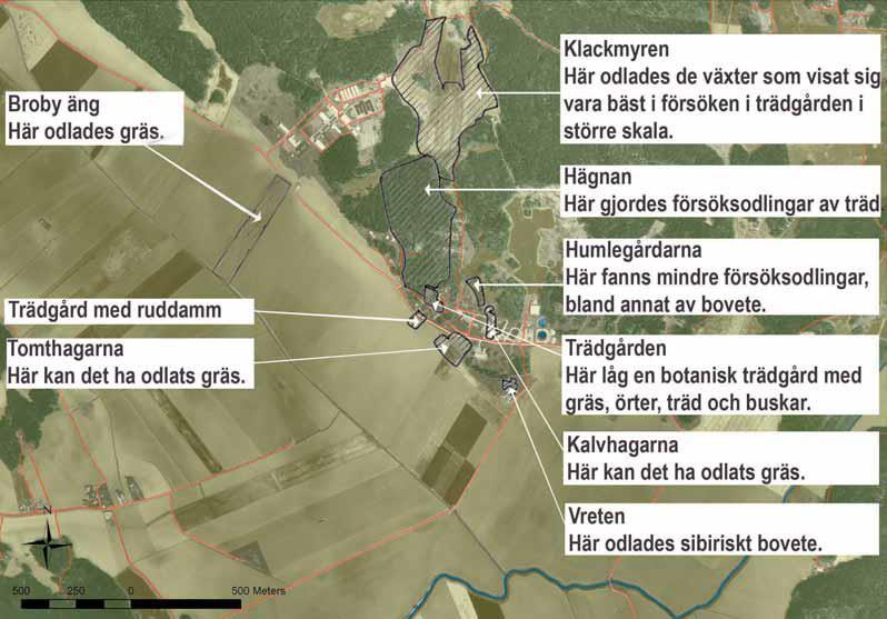 Pehr Kalm skötte försöksodlingarna 1741-1747. Över 100 växter planterades.