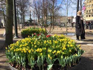 Trivselhöjande och trygghetsskapande åtgärder har genomförts i Brunnsparken, bland annat ett konstprojekt och utsmyckning med vårblommor.