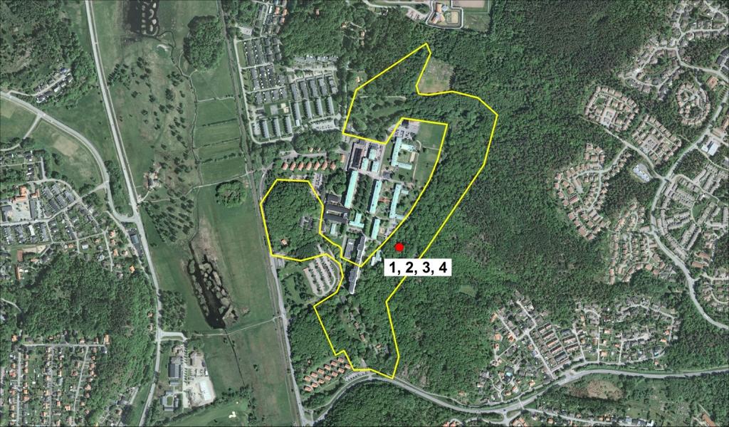 Lillhagsparken Värde: B Området utgörs huvudsakligen av ekskog med en blandning av äldre och yngre träd.