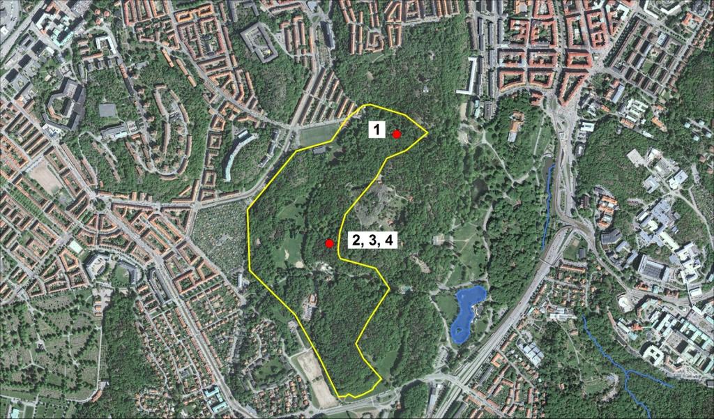 Slottsskogen väst Värde: A Under 2013 inventerades den östra delen av Slottsskogen, mellan spårvagnsspåret och bergryggen från lekplatsen Plikta ner till den södra infarten.