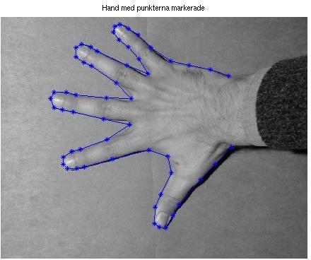 Figur 13: En hand med 56 punkter utmarkerade. Vi inleder med att lägga alla händer med centrum i origo, för att lättare kunna jämföra händerna med varandra.