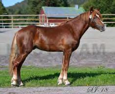 #11 Kalmar Foto: