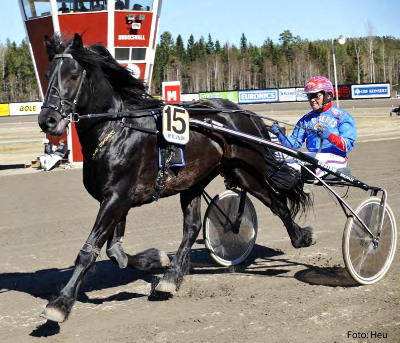 ULVSÅS ZICO