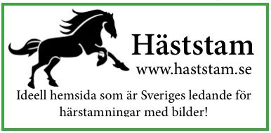 Stort tack till våra