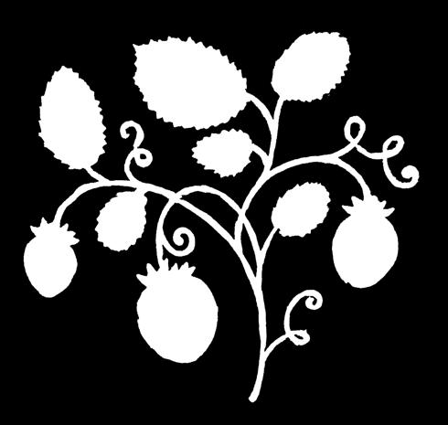 frukt i