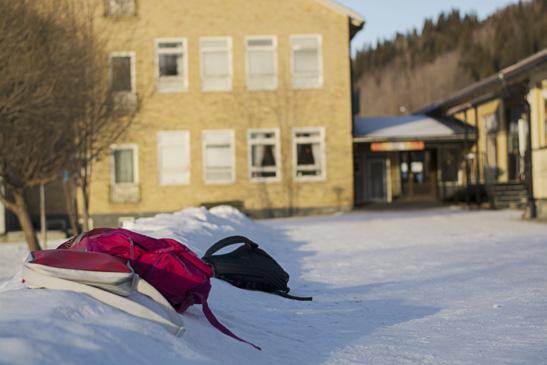 konflikter i familjen. Effektivt förebyggande arbete bygger på kunskap om hur man arbetar med skyddsfaktorer, istället för att lägga fokus på det som inte fungerar.