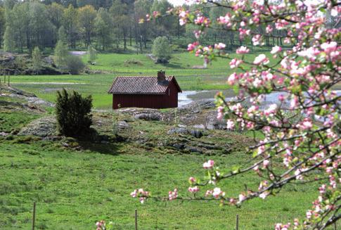 Halleskogens gamla kulturlandskap vid foten av Halleberg är rikt på fornlämningar.