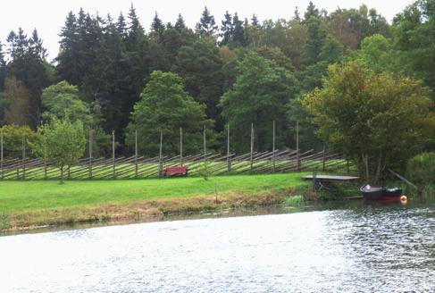 Ruinerna efter staden Brätte, kyrkplatsen och utsikt över de betade strandängarna med en artrik ﬂora,
