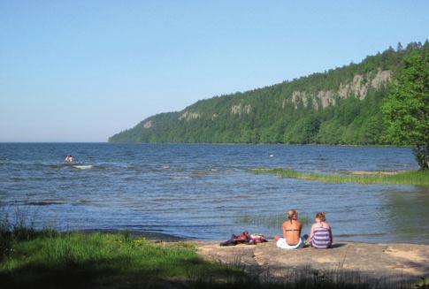 Runt hela Viksängen ﬁnns strandnära hagmarker med grova ekar och öppna hällmarker omväxlande med