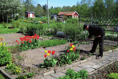 1.4 Värdet av gröna områden Tätorterna växer Barnperspektivet Forskning bekräftar de gröna miljöernas betydelse för människors hälsa och livskvalitet.