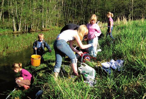 Naturnära skolor och förskolor kan bidra till ökad förståelse för, kunskaper om natur- och kulturmiljöer och inspirera till att naturen med himlen som tak vävs in i skolarbetet.