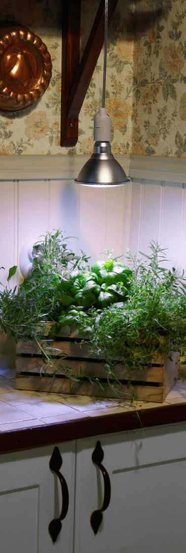 Plant Light Primula har inte bara ett perfekt sammansatt ljus för växter med olika behov, utan de har också en snygg design som gör att de direkt kan hängas upp i en lampsladd utan