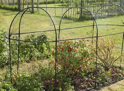 Stamskydd och vindskydd Artnr: 13908-10/frp Odlingsburar Steel Long Fruit Cage En avlång modell som