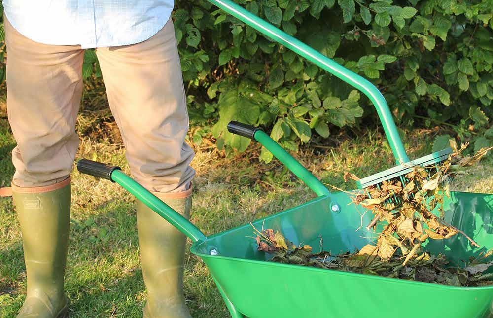 Lövplockare Ogräsrensning Renshackan Speedhoe blir snabbt en favorit vid rensning och luckring i trädgården.