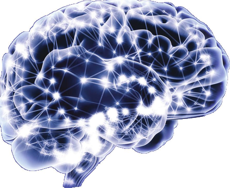 PROGRAM Neurologiveckan Göteborg den 8-12 maj, 2017 Måndag 8 maj ST-dagen 13.00-14.