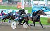 Järvsöfaks 1 216.933 5. Mix Mollyn e. Järvsöfaks 4 188.300 6. Risåelden e. Spikeld 3 133.600 7. Faks Kevin e. Moe Odin 8 127.500 8. Manfred Viking e. Moe Odin 4 121.900 9. Stålville e.