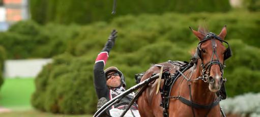 GRUPPLÖPNINGAR 3-åringar. En överlycklig Stefan Persson slänger körspöet i luften när Darling Mearas skär mållinjen som etta i Svenskt Trav-Oaks. SVENSKT TRAV-KRITERIUM Solvalla 25 september.