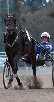 Valley Brodde 13,3 128.000 123 Haugstad Kenneth 6. Super Nice 13,4 80.