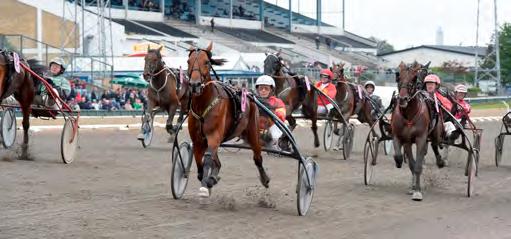 GRUPPLÖPNINGAR 4-åringar. Readly Express höll för favorittrycket och vann Derbyt och senare även Europaderbyt. Han vann 7 av 8 starter under året. SVENSKT TRAVDERBY Jägersro 4 september. Lätt bana. 5.