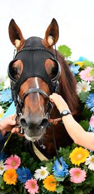 000 117 Kolgjini Adrian Un Mec d Heripre* (FR) 10,7 19 Goop Björn Montgomery Hill (DK) 10,9 296 Jensen Flemming Food Money 10,9 437 Tillman Jennifer Segrare: hingst 5 år e. Muscle Hill-Danae.