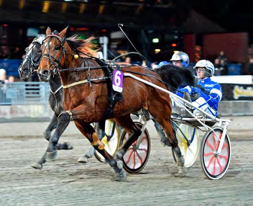 GRUPPLÖPNINGAR Grupp I Internationella. Sto-EM eller European Championship for Mares avgörs varje år på Solvalla. 2016 gick segern till Anna Mix som kördes av Erik Adielsson.