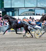 GRUPPLÖPNINGAR Grupp II Internationella. SWEDEN CUP Solvalla 28 maj. Lätt bana. 925.000 kr. 1.609 m. Auto. 1. Dante Boko 10,1 500.000 80 Kolgjini Adrian 2. Pascia Lest* (IT) 10,2 250.