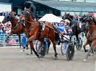 000 kr. 3.140 m. Volt. 1. Bird Parker* (FR) 12,1g 500.000 38 Verbeeck Joseph 2. Sauveur 12,2 250.000 25 Lindblom Åke 3. El Mago Pellini 12,3 100.000 248 Kolgjini Adrian 4. Mellby Viking 12,4 50.