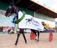 000 158 Redén Daniel Chelsea Boko 12,1 57 Kontio Jorma Royal Fighter 12,6 266 Tillman Jennifer Windy Ways (US) ug 62 Linderoth Per d Nahar dug 116 Bergh Robert Segrare: hingst 6 år e.