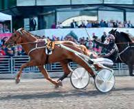 KLASSISKA KALLBLODSLOPP JIM FRICKS LOPP ELITKAMPEN Solvalla 29 maj. Lätt bana. 548.000 kr. 1.609 m. Auto. 1. Vitter* (FI) 18,5 300.000 29 Forss Mika 2. Jokivarren Kunkku* (FI) 18,6 125.