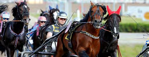 HÄSTAR, STARTER OCH PRISPENGAR Antal registrerade kallblod, antal startande, antal starter och utdelade prispengar (inklusive poänglopp).