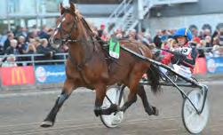 HÄSTAR, STARTER OCH PRISPENGAR Antal registrerade kallblod, antal startande, antal starter och utdelade prispengar (inklusive poänglopp).
