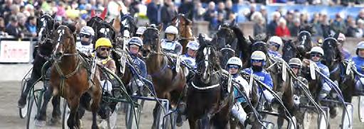 BANA FÖR BANA Antal lopp, antal startande, antal starter och utdelade prispengar per bana. Romme skrev ut 112 kallblodslopp under 2016.